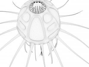 alien jellyfish 3D Model