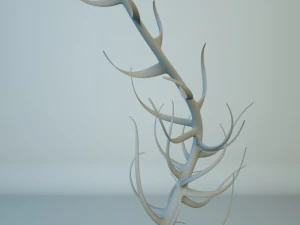 alien plants 3D Model