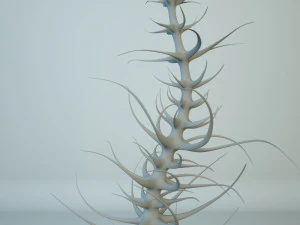 alien plants 3D Model