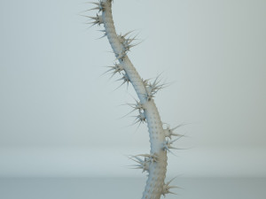 alien plants 3D 模型