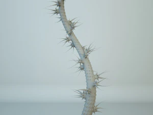 alien plants 3D Model