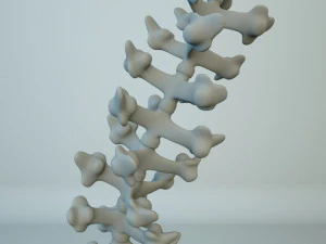 alien plants 3D Model