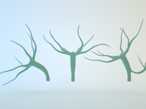hydra 3D Model
