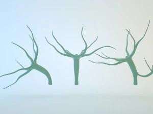 ヒドラ 3Dモデル