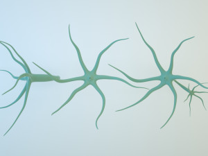 hydra Modelo 3D