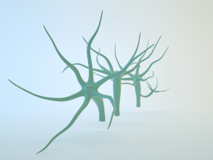 hydra Modelo 3D