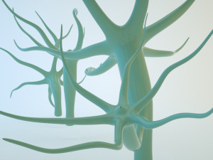 hydra Modelo 3D