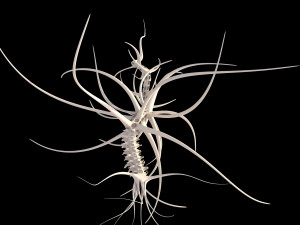 alien tree Modèle 3D