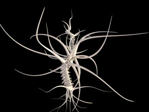 alien tree 3D Model