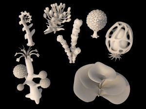 alien plants Modèle 3D