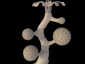 alien plants Modèle 3D