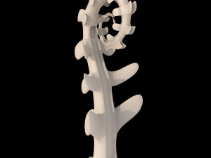 alien plants Modèle 3D