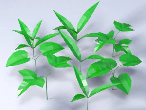 草 3Dモデル