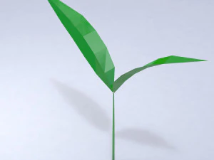 &ccedil;imen 3D Model