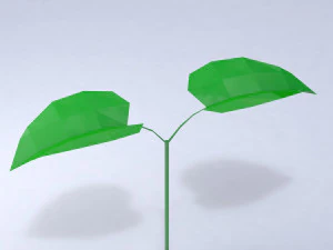 &ccedil;imen 3D Model