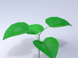 &ccedil;imen 3D Model