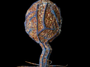 sci fi plants 3D Model