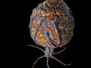 sci fi plants 3D Model