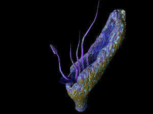 sci fi plants 3D Model