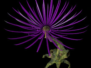 sci fi plants 3D Model