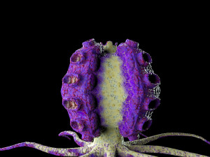 sci fi plants 3D Model