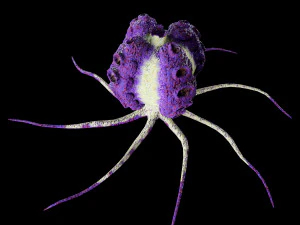 sci fi plants 3D Model