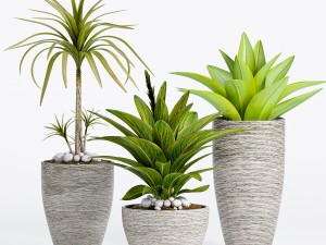 flover 3D Model