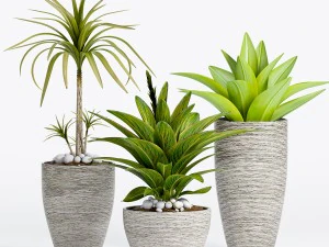 квітка 3D Модель