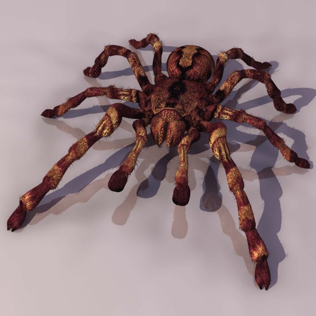 spider tarantula Modèle 3D .c4d .max .obj .3ds .fbx .stl .blend 