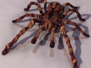 tar&aacute;ntula ara&ntilde;a Modelo 3D