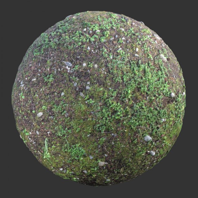 ground forest textures CG Текстури .c4d .max .obj .3ds .fbx .stl .blend 