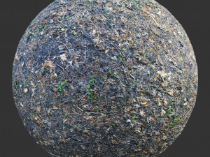 ground forest textures CG Текстури