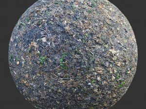 trame della foresta terrestre CG Textures