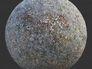 trame della foresta terrestre CG Textures