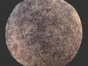 trame della foresta terrestre CG Textures