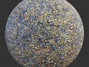 ground forest textures CG Текстури