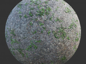 ground forest textures pack CG Textures