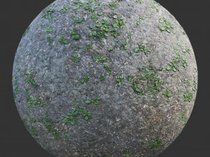 ground forest textures pack CG Textures