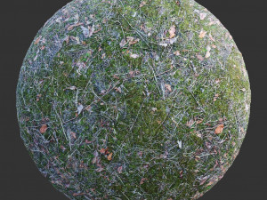 ground forest textures pack CG Textures