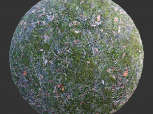 ground forest textures pack CG Textures