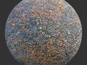 ground forest textures pack CG Textures