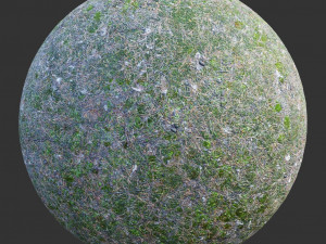 ground forest textures pack CG Textures