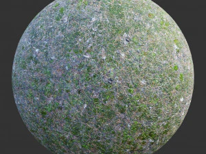ground forest textures pack CG Textures