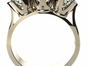 enagement ring 3D Print Model