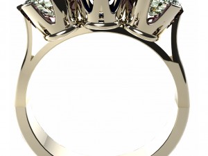 enagement ring 3D Print Model