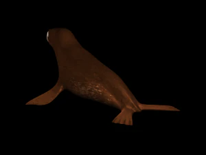 3d cartoon sea lion - rigged low-poly 3D Model