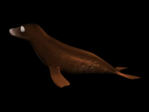 3d cartoon sea lion - rigged low-poly 3D Model