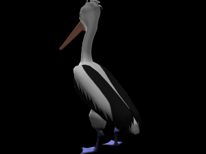 3d cartoon pelican - rigged low-poly 3D Model