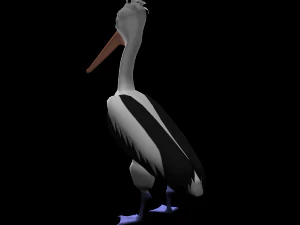 3d cartoon pelican - rigged low-poly 3D Model