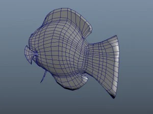 3d fish - tamarin wrasse - rigged low-poly 3D Model